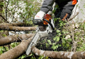 Pilarka spalinowa Stihl MS 261