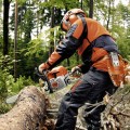 Piła spalinowa Stihl MS 362 C-M