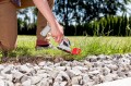Nożyce akumulatorowe do cięcia trawy i krzewów AL-KO GS 7,2 Li